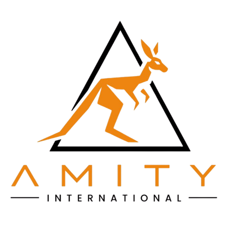 AMITY INTERNATIONAL